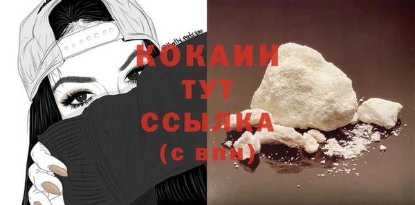 apvp Няндома
