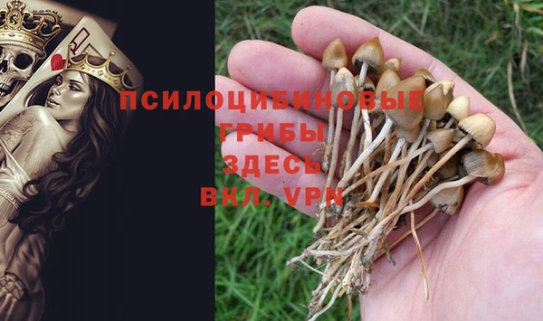 дживик Алексин