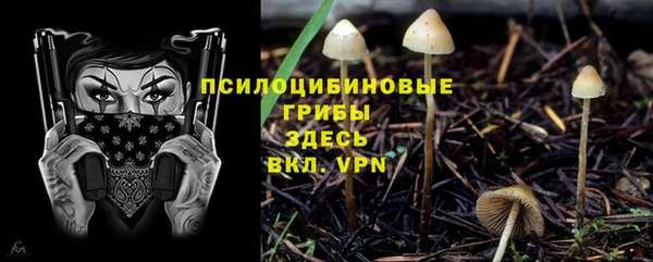 ПСИЛОЦИБИНОВЫЕ ГРИБЫ Алексеевка
