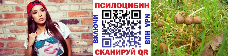 Псилоцибиновые грибы ЛСД  MEGA онион  Безенчук 